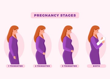 Stages of Pregnancy doctor in Meerut